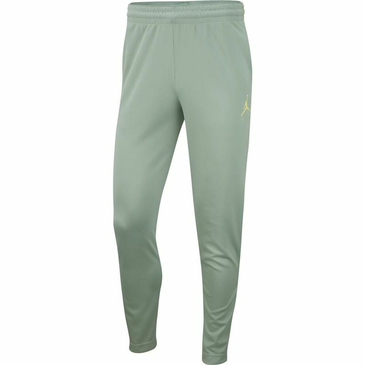 Nike Adult Trousers Jordan Jumpman Flight Unisex Pants - Aquamarine - product image 24