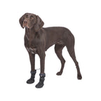 Trixie Hundeschuhe 19410 Schwarz – Produktansicht 9