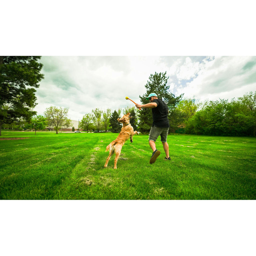 Hunter Ball Launcher für Dogs Gelb Orange Rubber Ball – Produktansicht 4