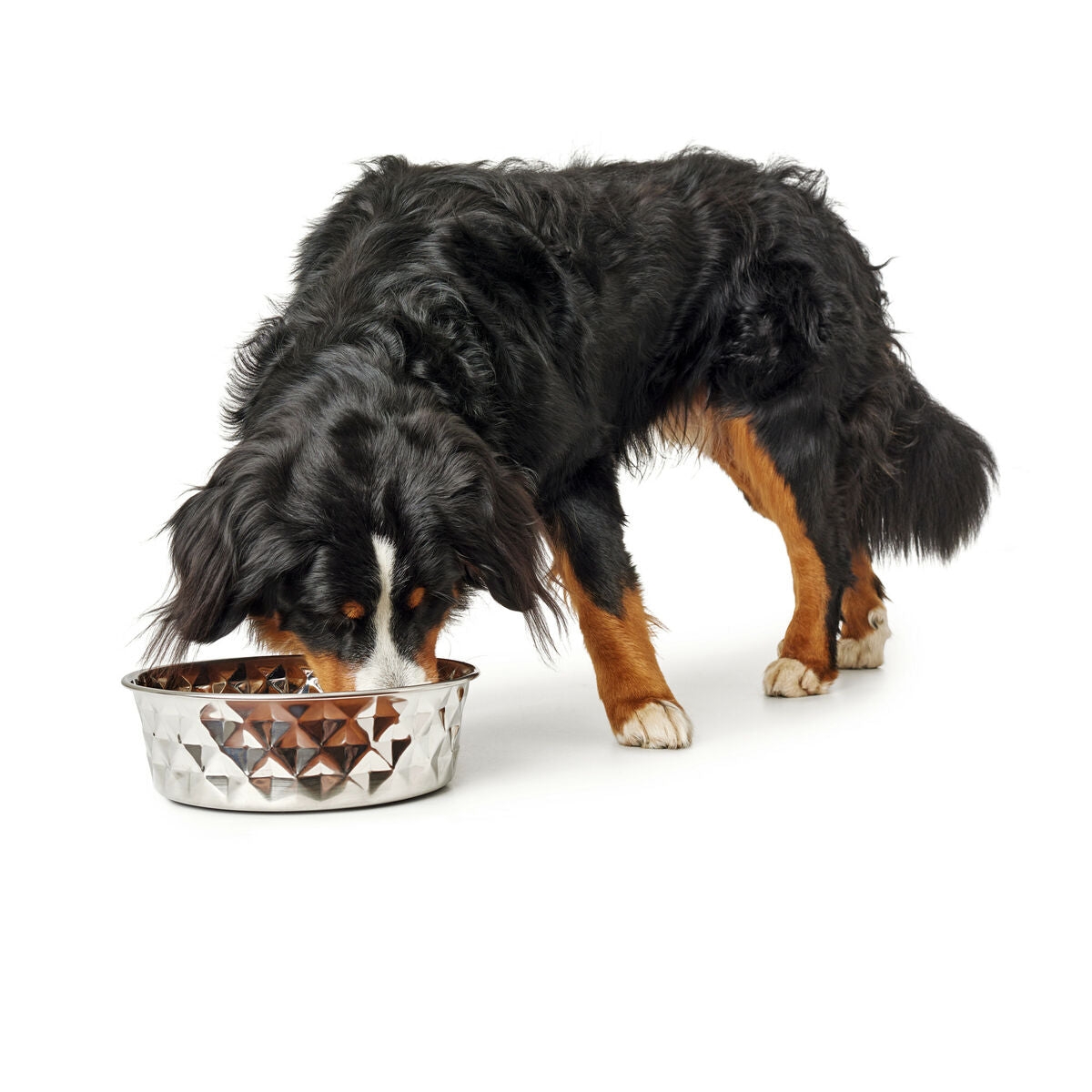 Hunter Hund Feeder Silicone Stainless Stahl 1,05 L – Produktansicht 3