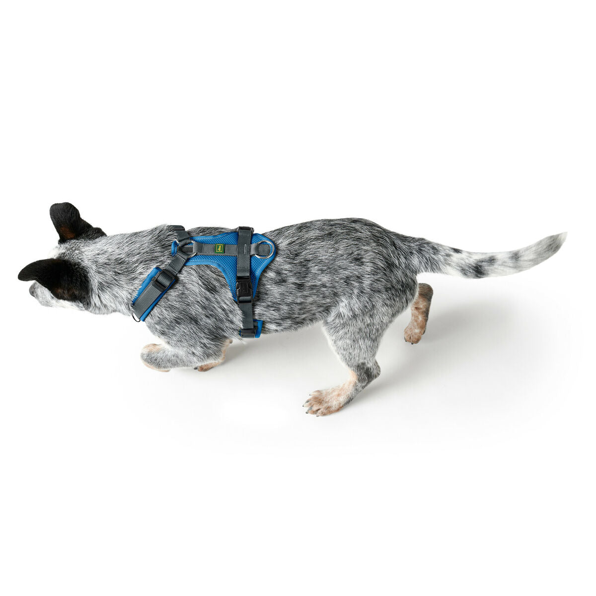 Hunter Hundegeschirr Maldon Up Blau 50-84 cm – Produktansicht 3