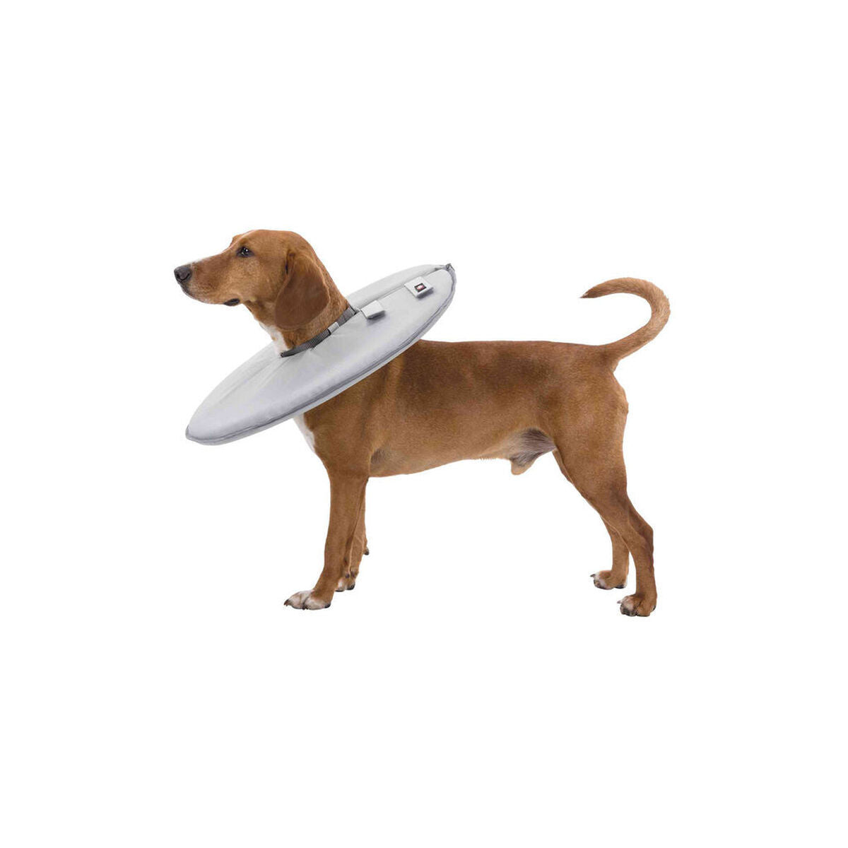 Trixie Halskrause für Hunde 19423 Grau Foam – Produktansicht 7
