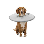 Trixie Halskrause für Hunde 19423 Grau Foam – Produktansicht 9