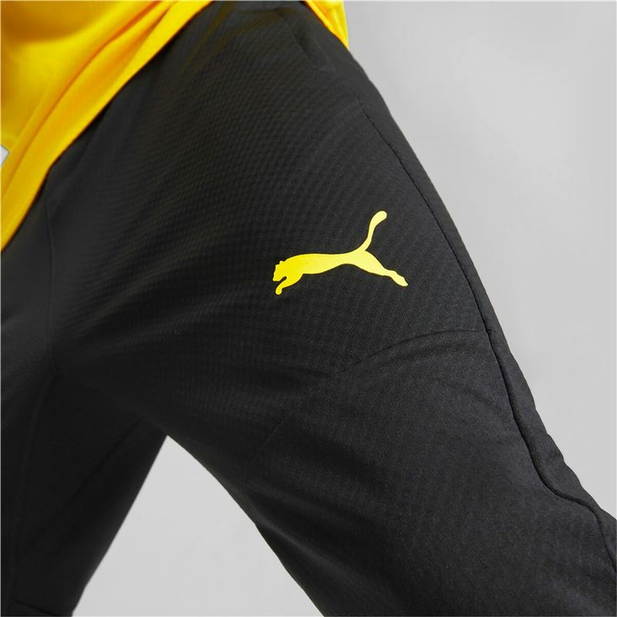 Football Training Trousers for Adults Puma Borussia Dortmund Black