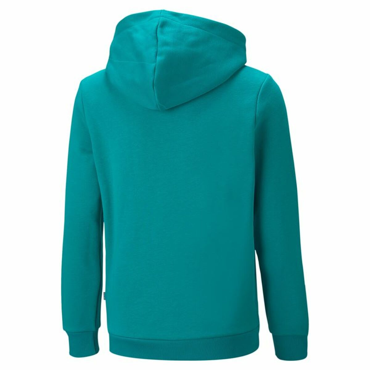 Men’s Hoodie Puma Essentials+ Two-T Cyan