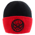 Spider-Man Hut Emblem Schwarz