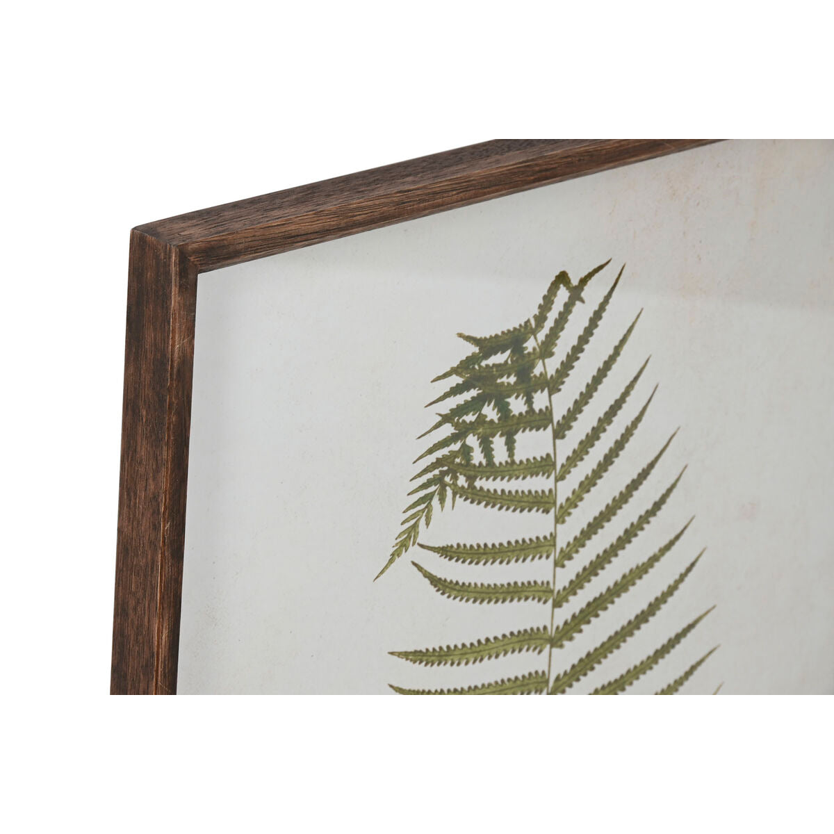 Home ESPRIT Bild Crystal Fir – Weiß – Produktansicht 2