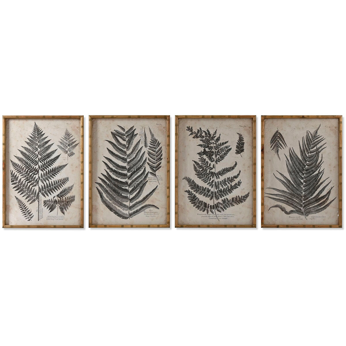 Home ESPRIT Bild Crystal Fir – Produktansicht 1