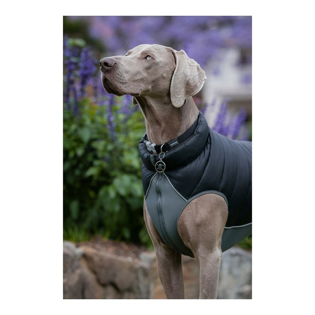 Rot Dingo Hundemantel Puffer Schwarz/Grau 25 cm – Produktansicht 4