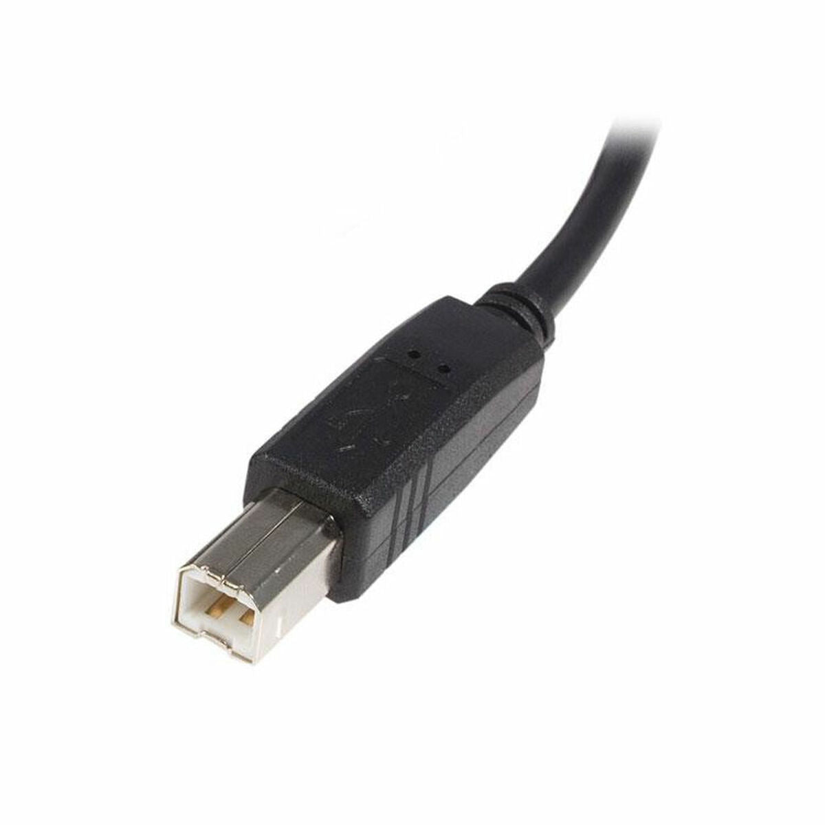 Startech USB A to USB B Kabel USB2HAB1M Schwarz – Produktansicht 2