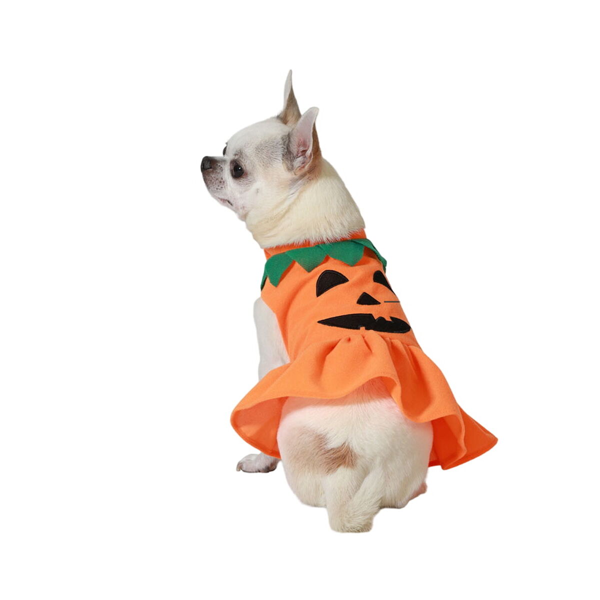 Hund Kostüm Pumpkin Größe M – Produktansicht 1