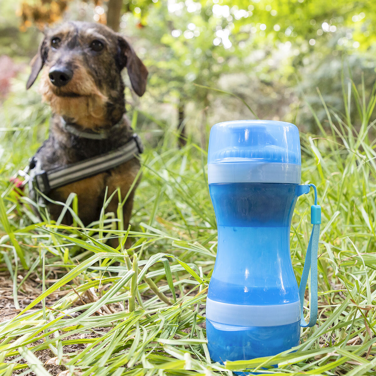 2-in-1 Flasche mit Wasser & Lebensmittel containers für Haustiere Pettap InnovaGoods – Produktbild 1