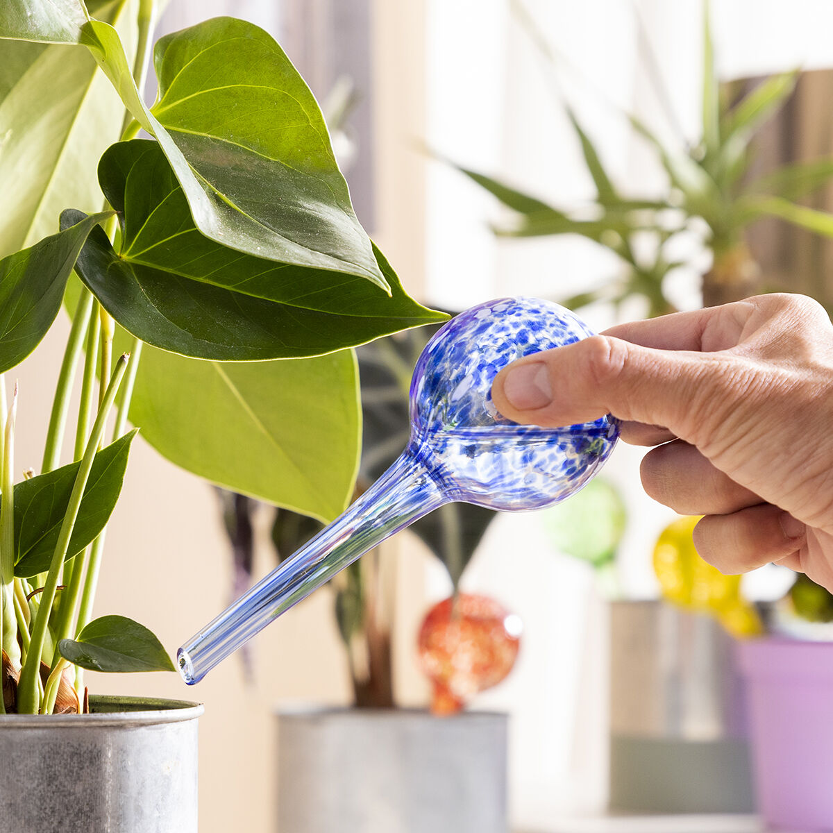 InnovaGoods Automatische Bewässerungskugeln Ballwooters – Produktansicht 2