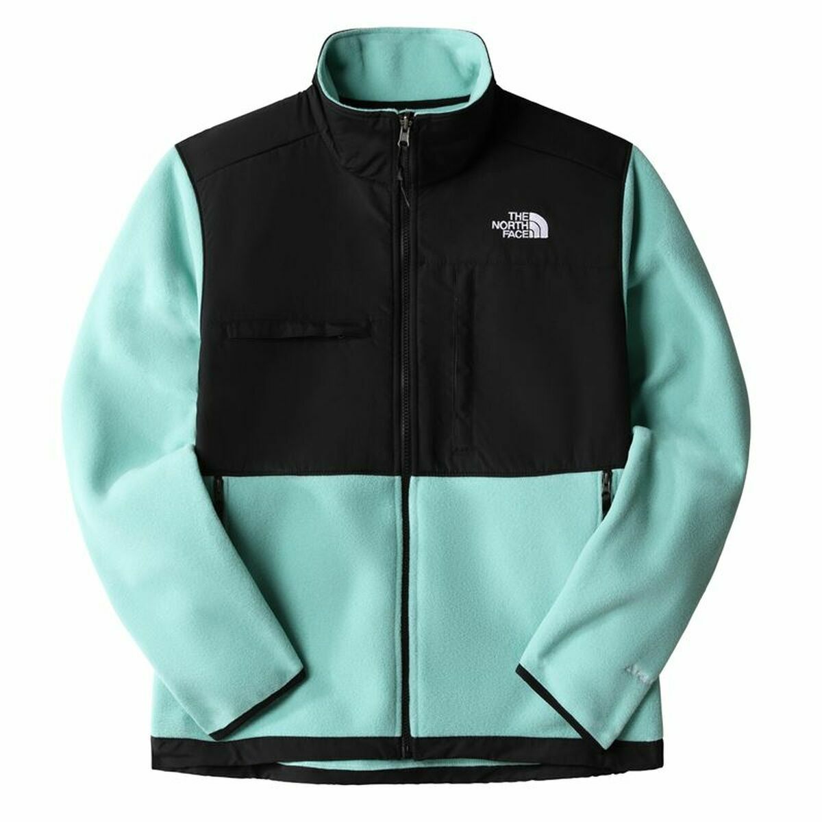The North Face Delani Men's Jacket - Green - BYAG.Men's Jacket & OuterwearBigbuyBYAG.S6453317The North Face Delani Men's Jacket - GreenL